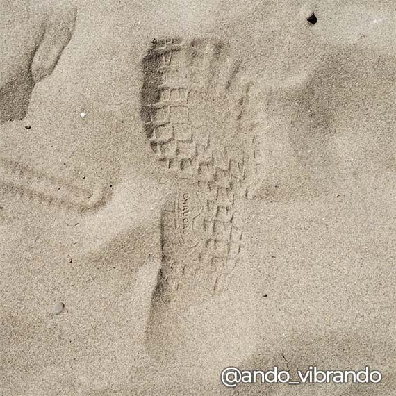 Saguaro Barefoot Shoes